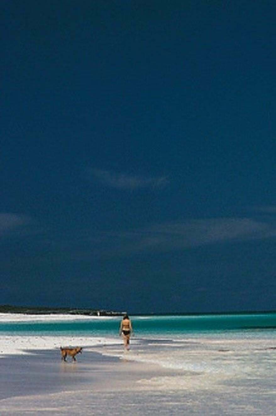 Harbour Isle By Slim Aarons photo for sale