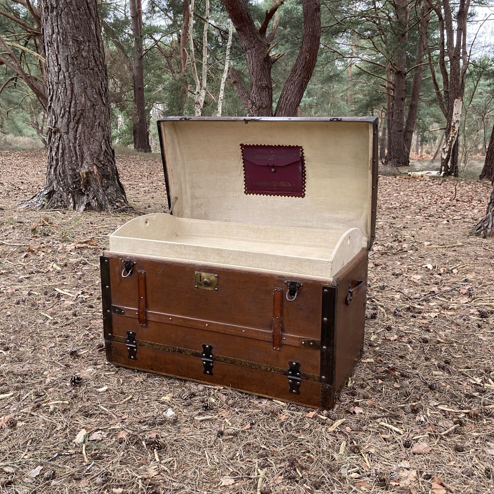 photo buy Vintage Steamer / Cabin Trunk, Circa 1880