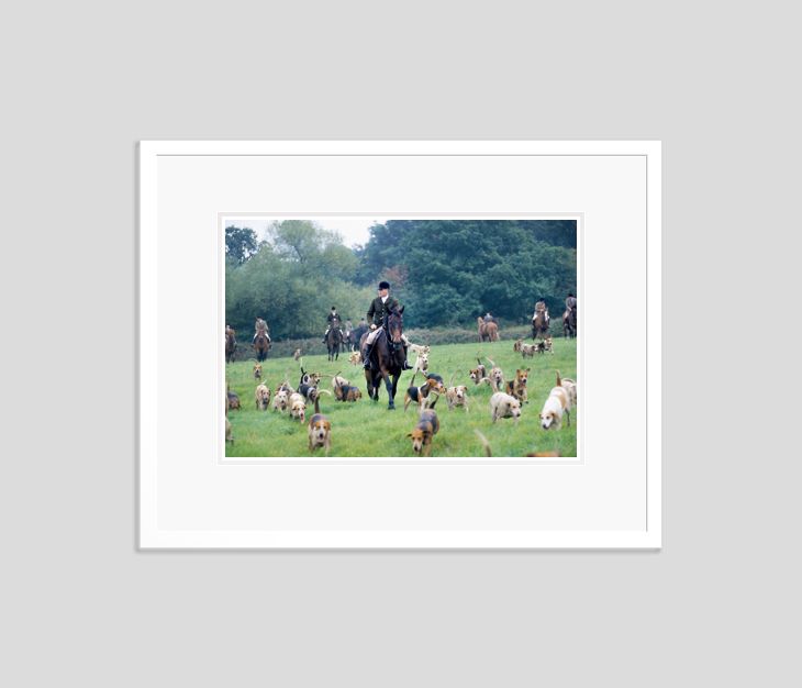 'Cub Hunt' Homer Sykes Framed In White