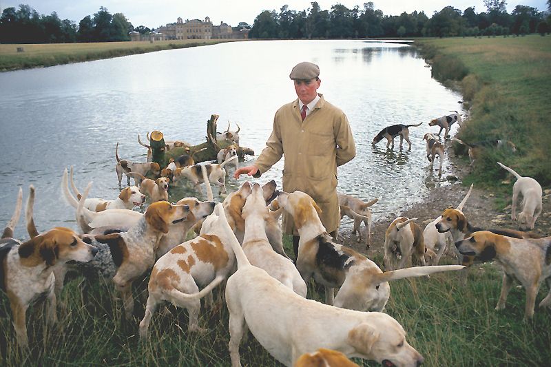 'The Master Of Hounds' Homer Sykes Framed In White photo furniture