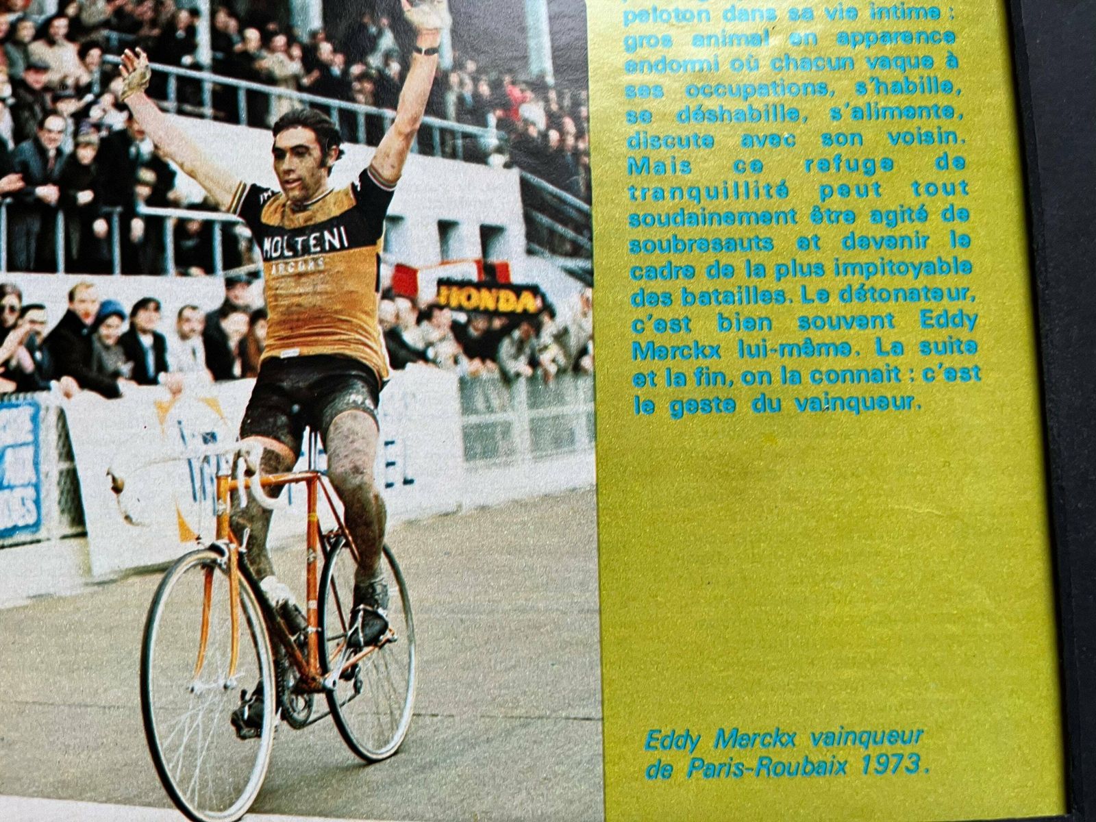 Eddy Merckx Tour De France Original Vintage Cycling Print 1973 photo furniture