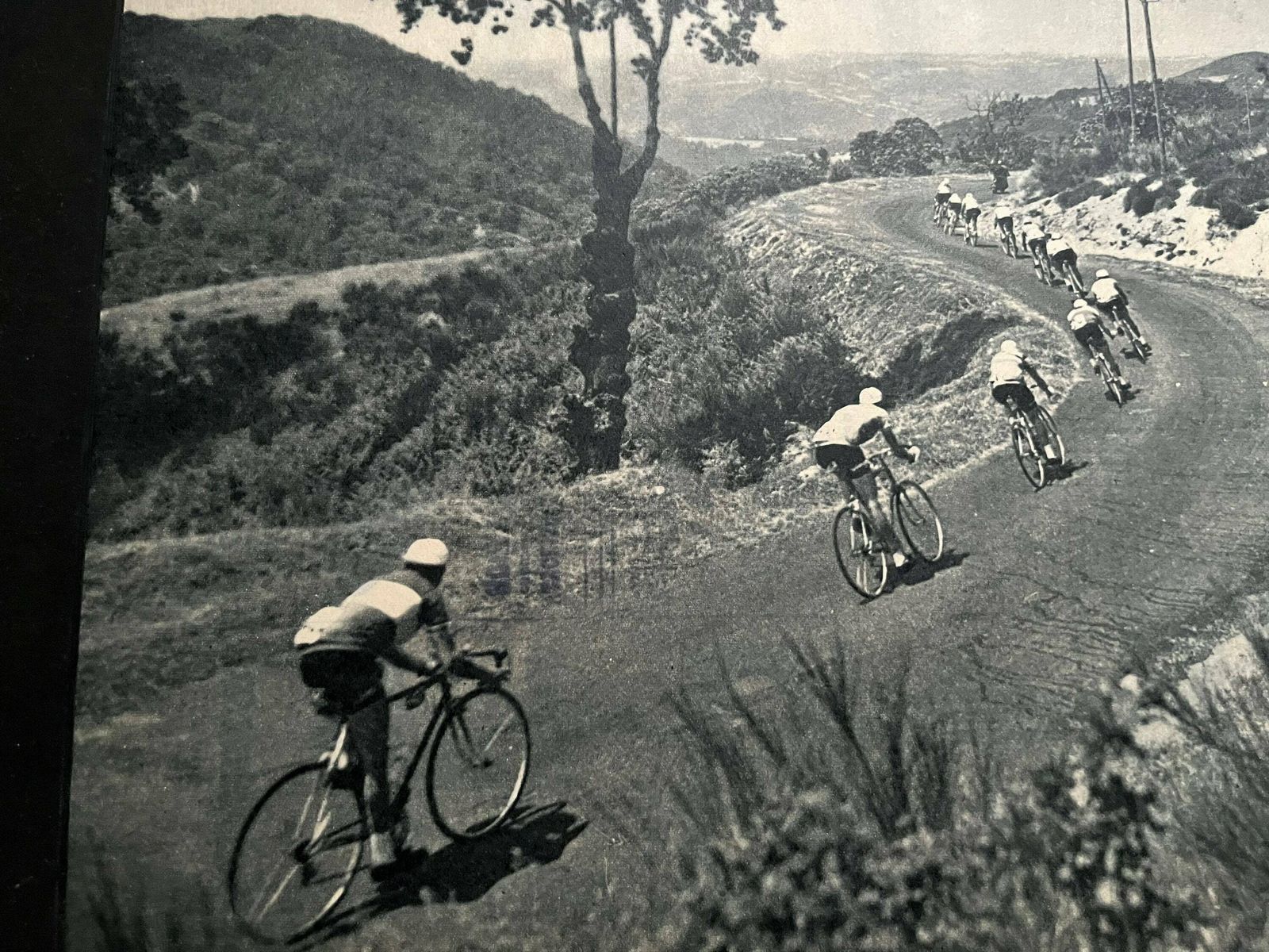 Original Vintage Cycling Print 1960 Tour De France   Alpine Descent photo for sale