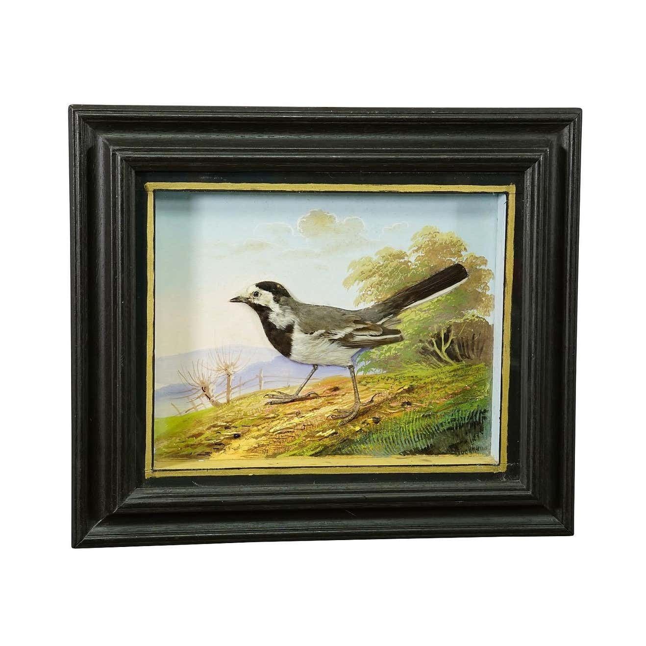 Victorian Taxidermy Diorama With White Wagtail Ca. 1900 photo furniture