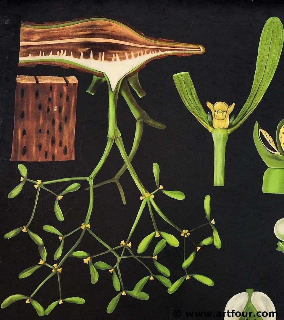 Antique Jung Koch Quentell Wall Chart Poster Mistletoe Christmas Decoratio photo for sale