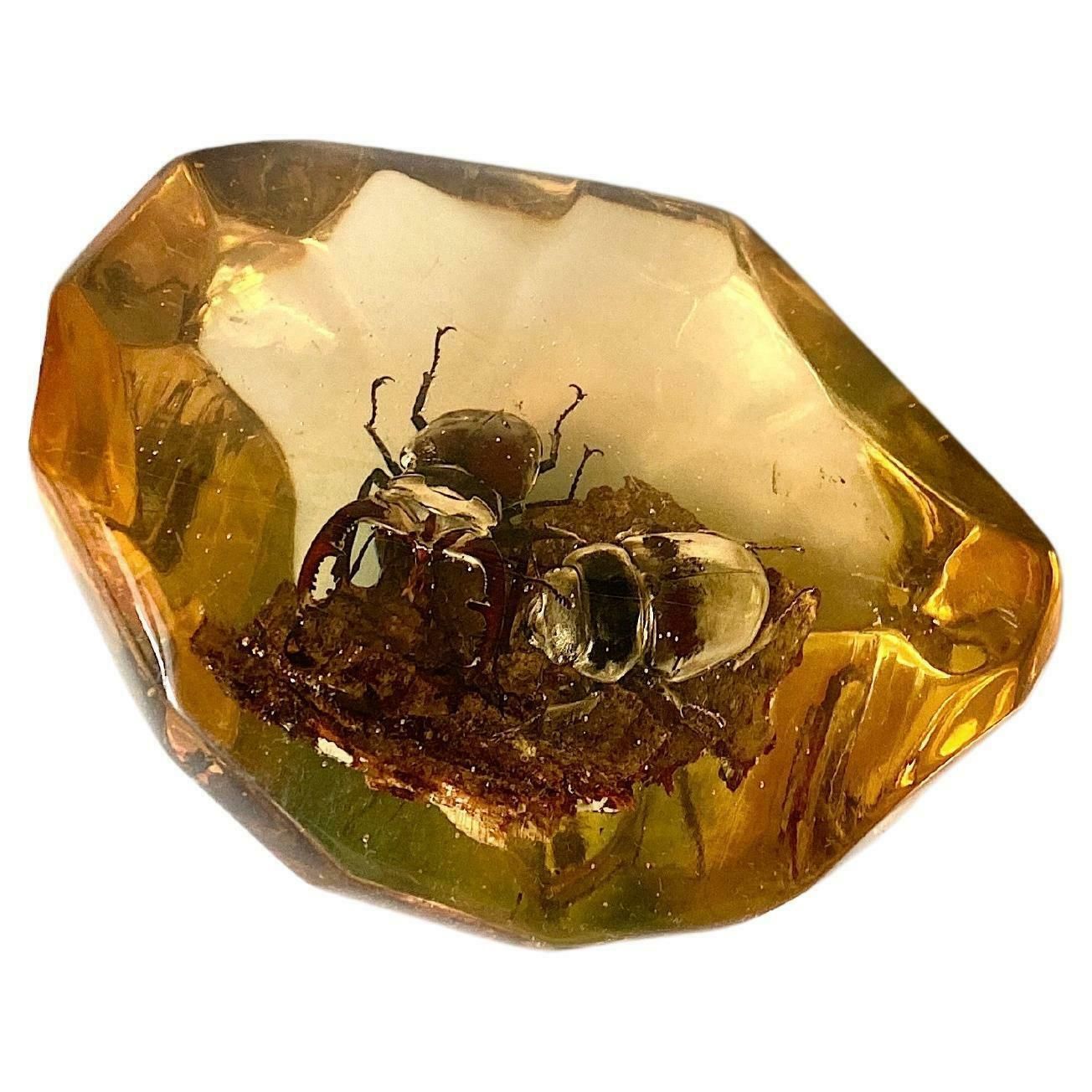 French, 1970s, Lucite Resin Cube Sculpture With Beetles photo furniture