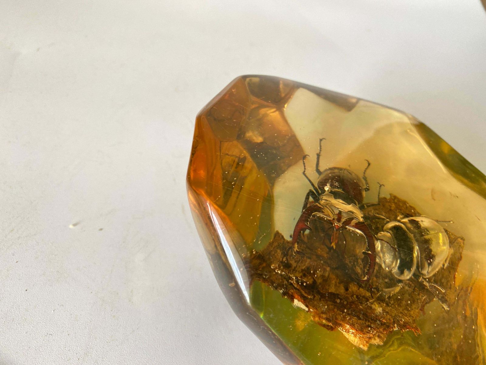 French, 1970s, Lucite Resin Cube Sculpture With Beetles photo Art