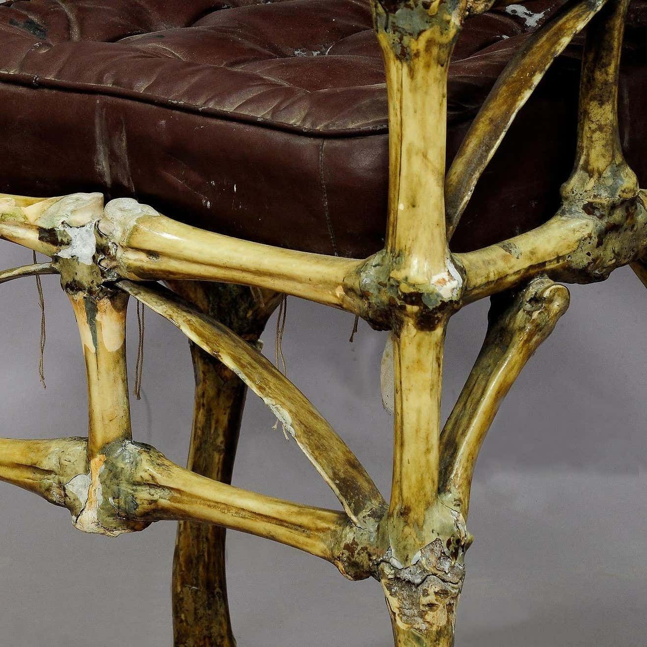 Large Wacky Bull Bone Throne Chair Circa 1930 photo vinterior