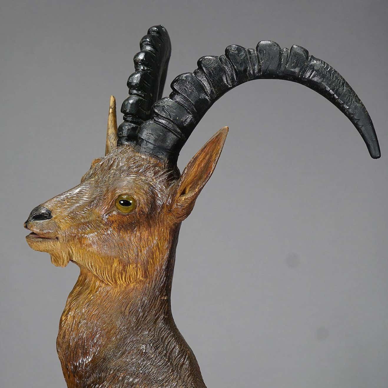 Large Black Forest Woodcarving Ibex Sculpture, Austria, Circa 1920 photo furniture