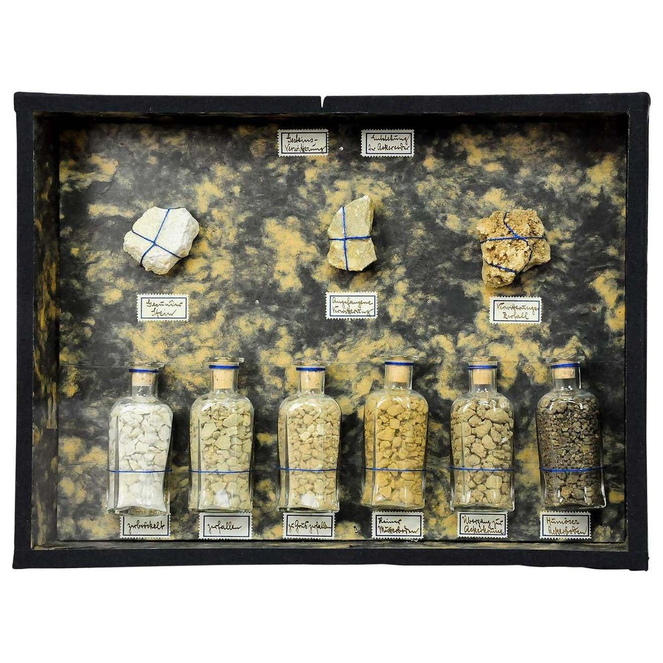 Showcase With Stone Specimen Decomposition Of Rocks Circa 1930