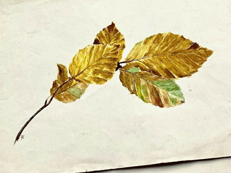 Pair Of Antique Autumnal Leaf Watercolour Paintings   Ethel Francis photo for sale