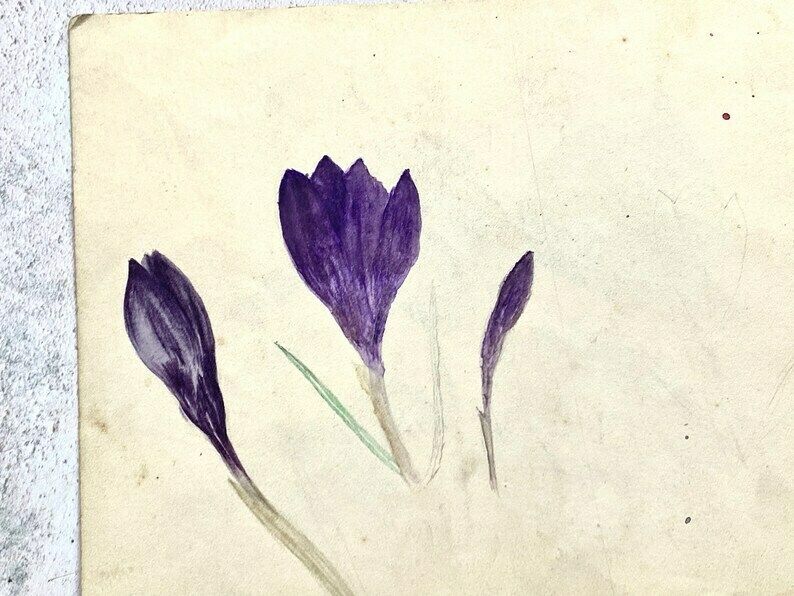 photo furniture Collection Of Four Antique Floral Watercolour Paintings   Ethel Francis