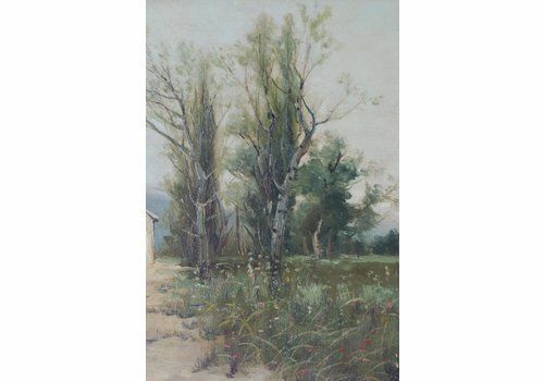 Spanish Landscape With Farmhouse And Wildflower Meadow photo Art