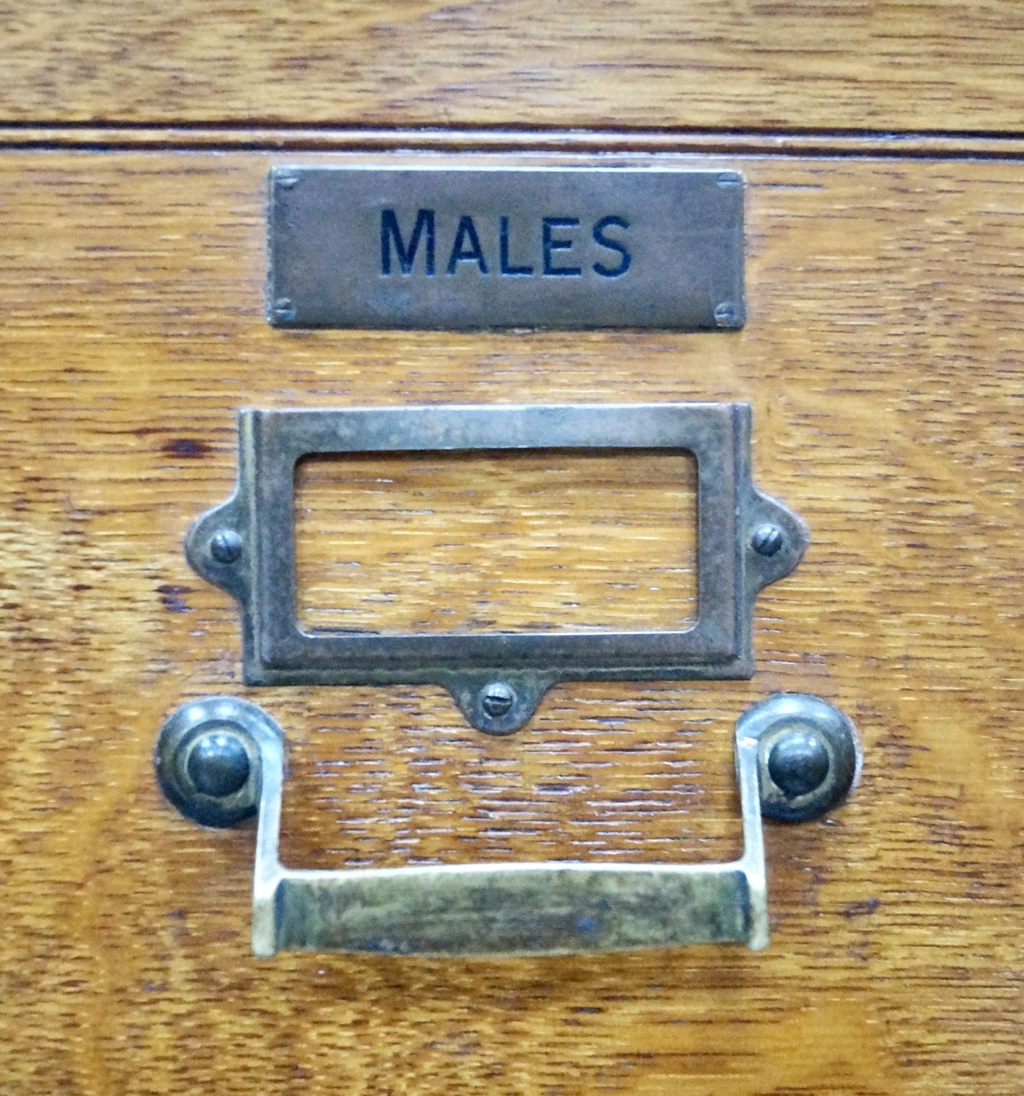 Antique Large Oak Filing Cabinet photo for sale