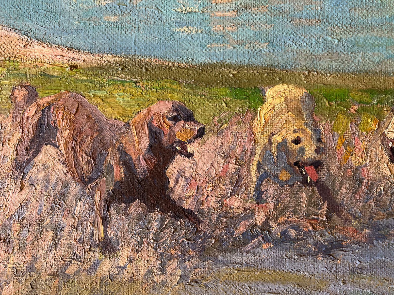 In The Wilderness By Juszkó Béla Hungary 1960 photo for sale