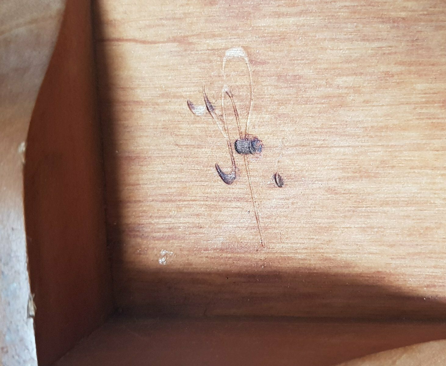 Antique Handmade Wooden Box With A Capercaillie Motif photo Home Decor