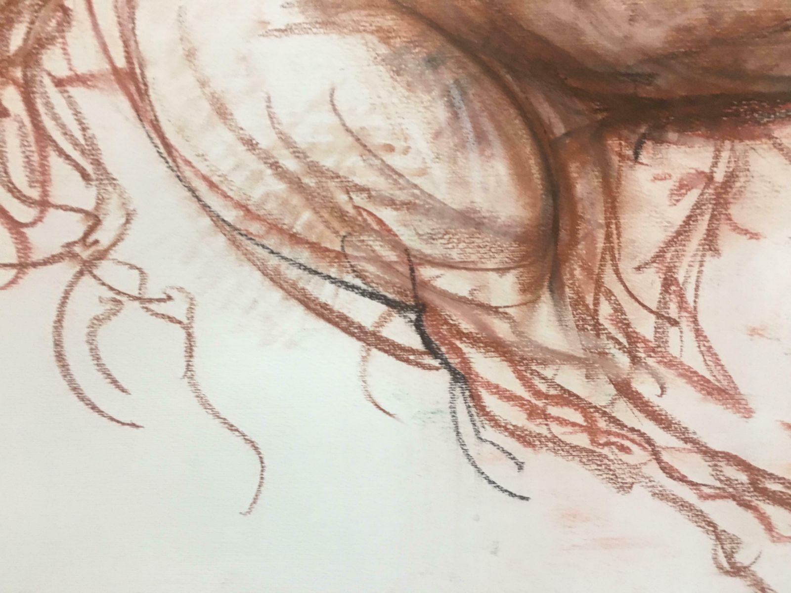 808.0 Mad Horse Pencil Fat By Giuseppe Colin 1990 photo