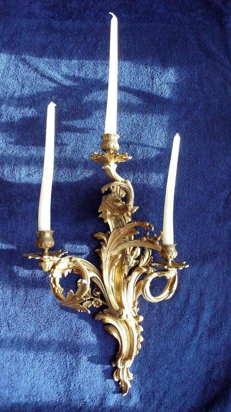 Very Rare Trio Of Gilded Bronze Louis XV Italian Sconces, 1880s photo 6448.0