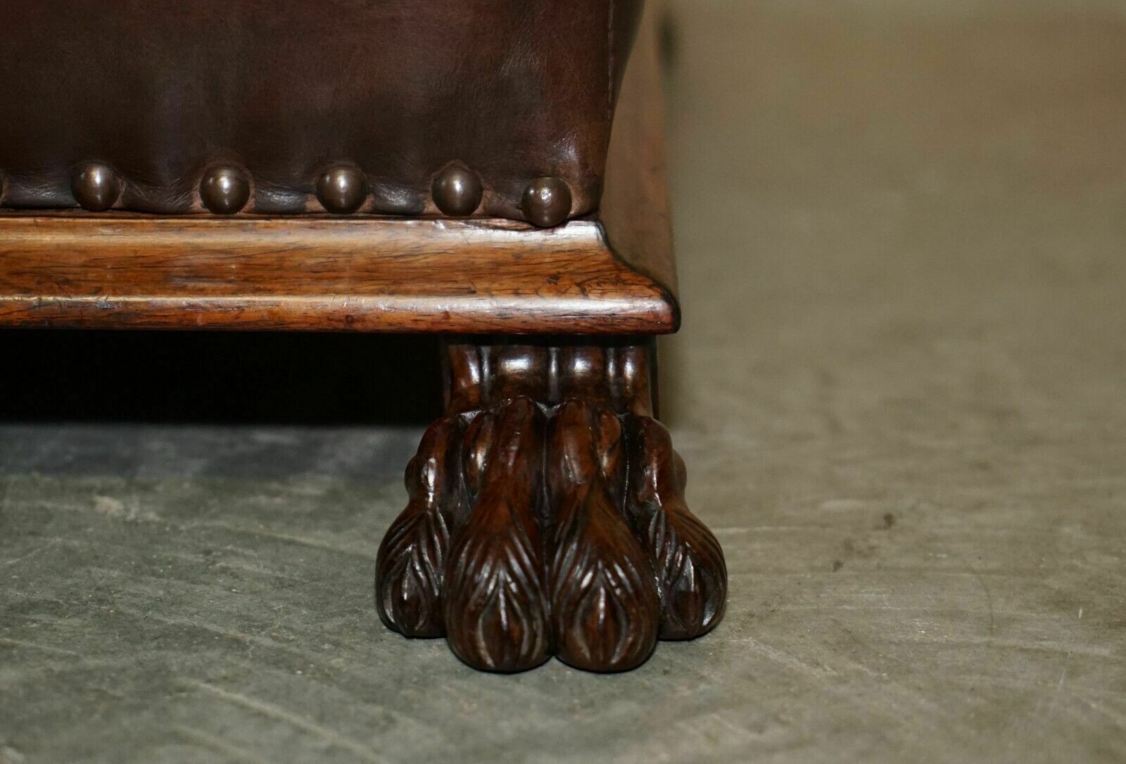 photo furniture Antique Regency Circa 1815 Brown Leather Rosewood Lion's Hairy Paw Footstool