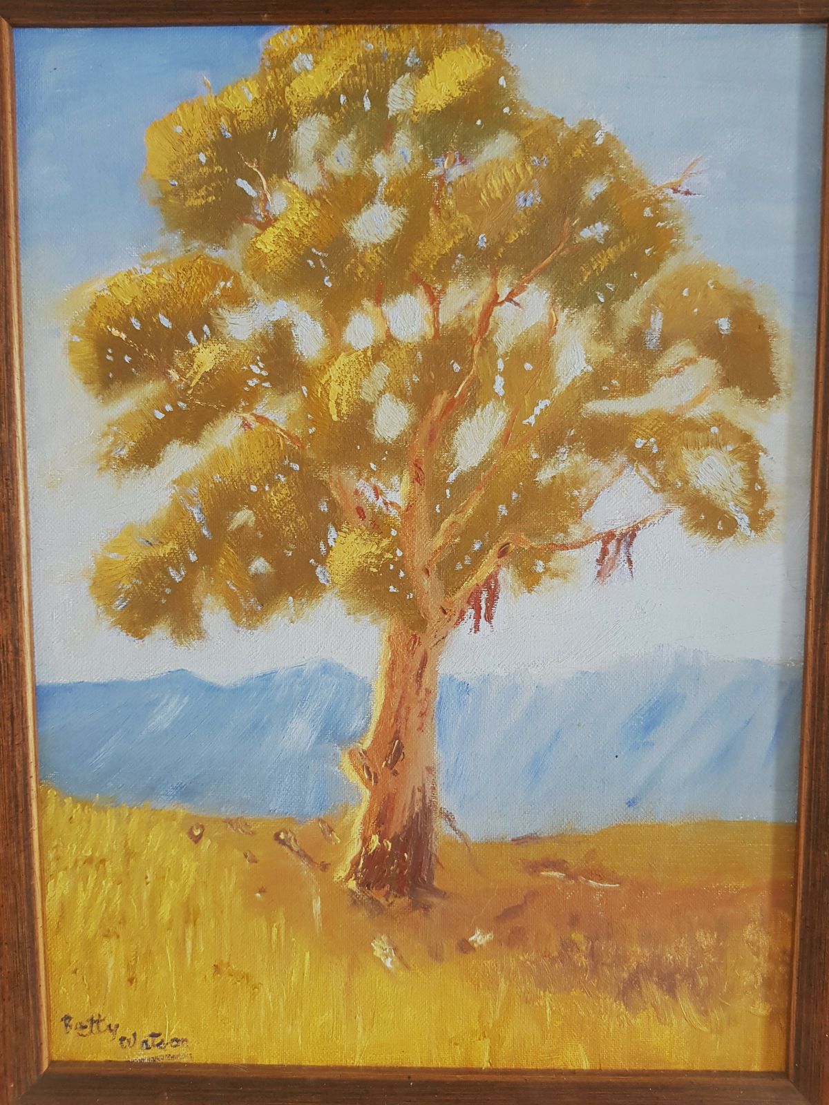 Oil On Canvas By Us Artist Betty Watson Of A Sunlit Tree photo 159.0
