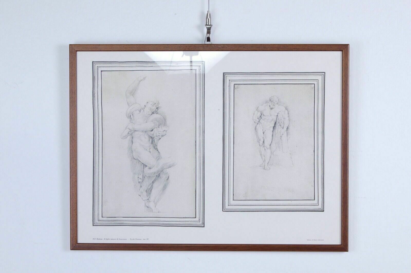 The Drawings Of The Ambrosian In 7 Framed Plates Pp Rubens Ediz Banco Ambrosiano