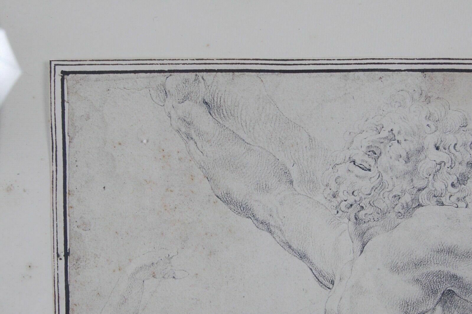 The Drawings Of The Ambrosian In 7 Framed Plates Pp Rubens Ediz Banco Ambrosiano photo vinterior