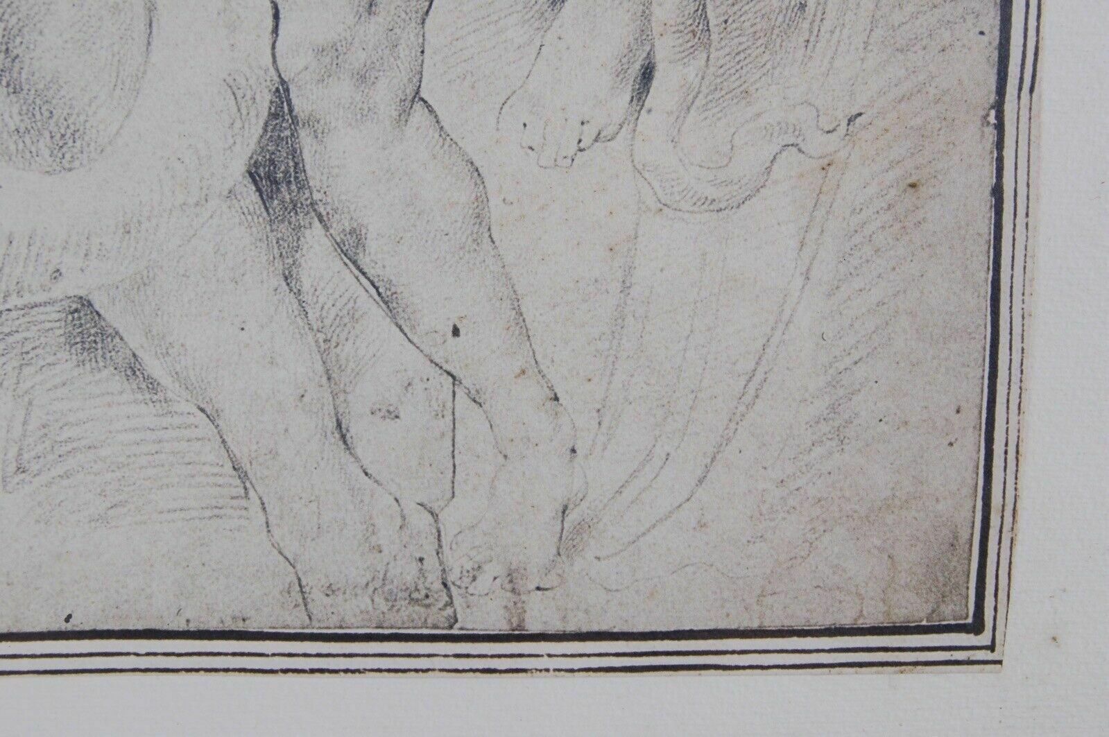 The Drawings Of The Ambrosian In 7 Framed Plates Pp Rubens Ediz Banco Ambrosiano photo buy