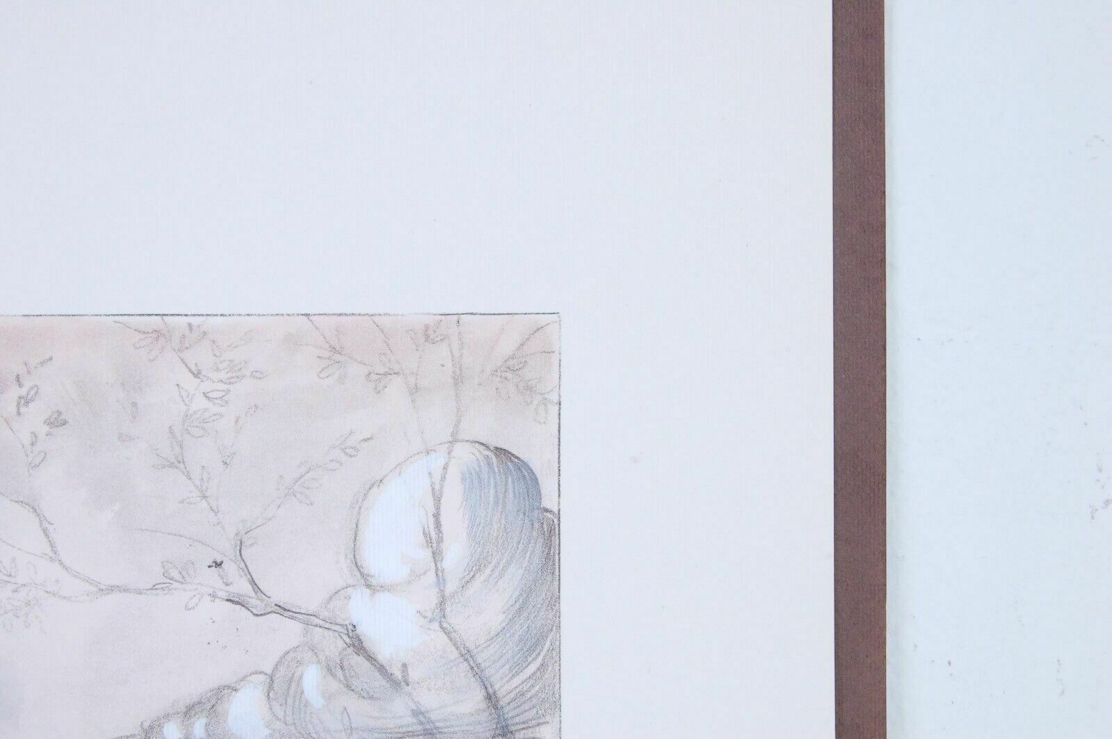 Photolithograph   N°32 Of 125 Copies Retouched By Hand By Marisa Facchinetti photo furniture