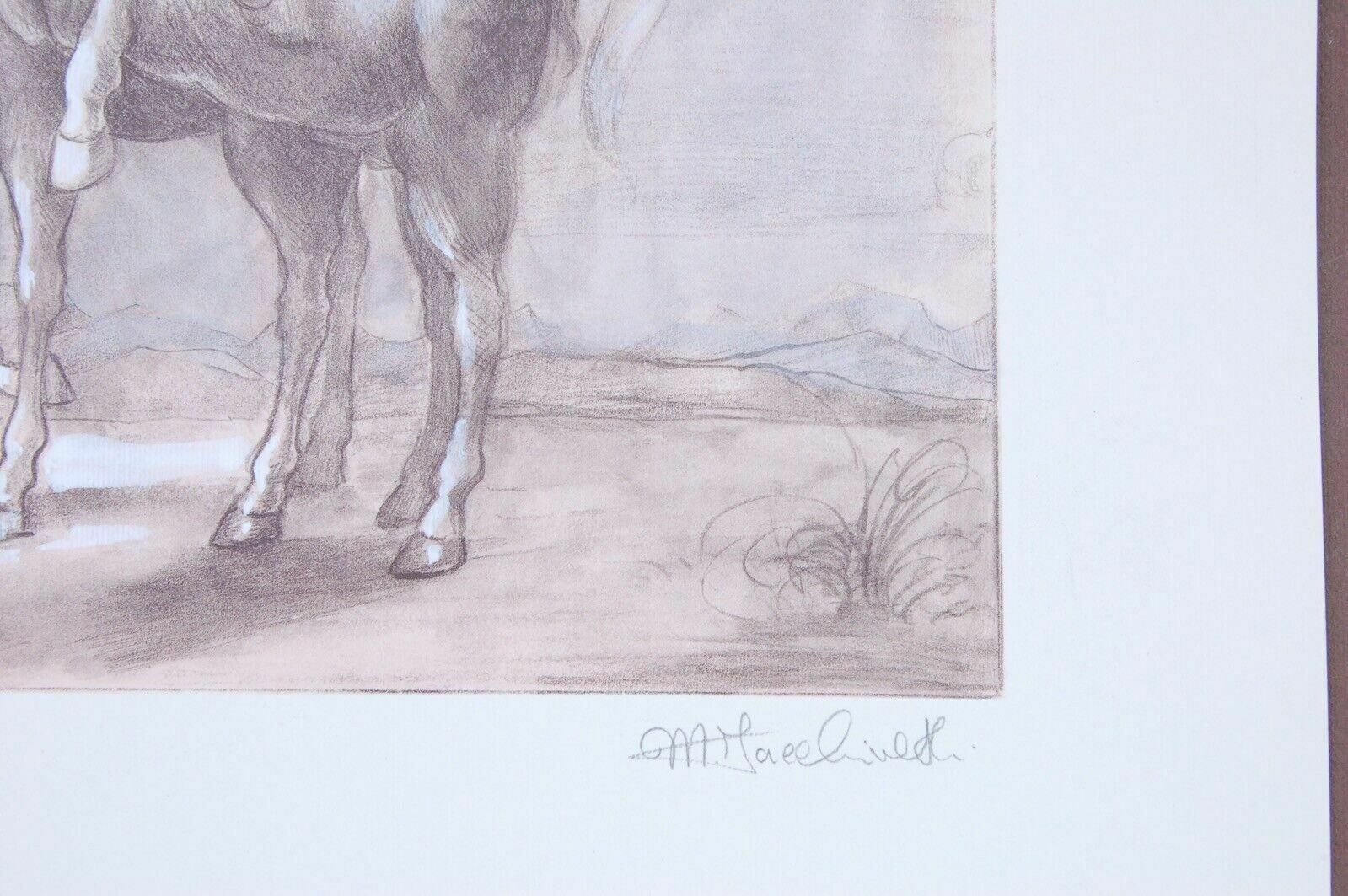 Photolithograph   N°32 Of 125 Copies Retouched By Hand By Marisa Facchinetti photo Art