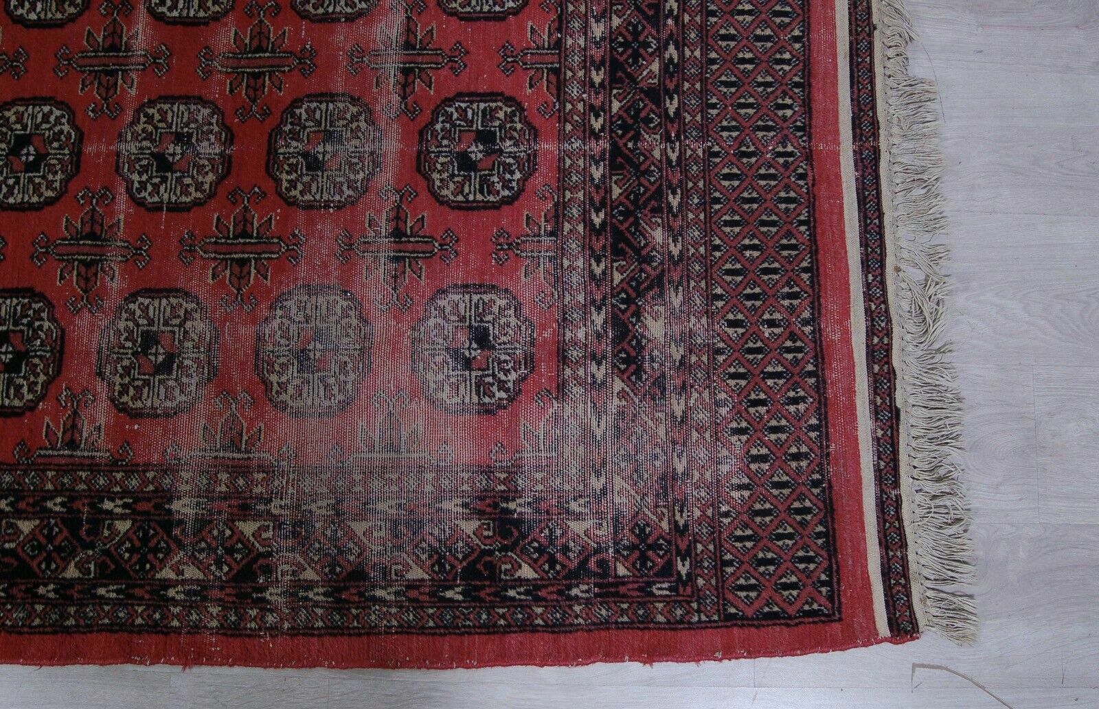 Pakistani Carpet Bukhara Short Pile Oriental Motifs Asymmetrical photo furniture