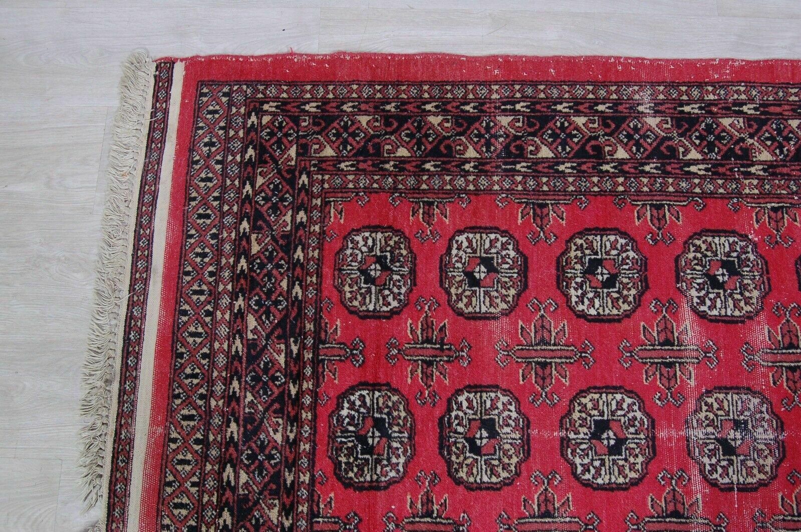 Pakistani Carpet Bukhara Short Pile Oriental Motifs Asymmetrical photo for sale