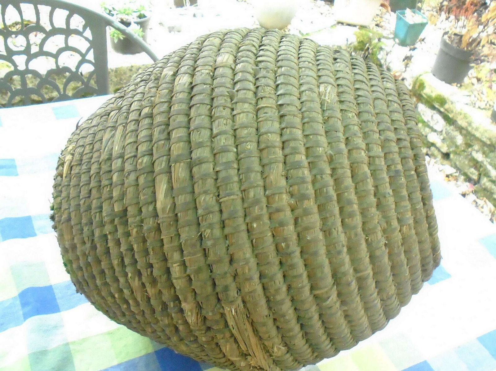 Antique French Rye Coiled Basket, Large Bourgne Woven Rye Grass, Wicker Decor photo 172.0