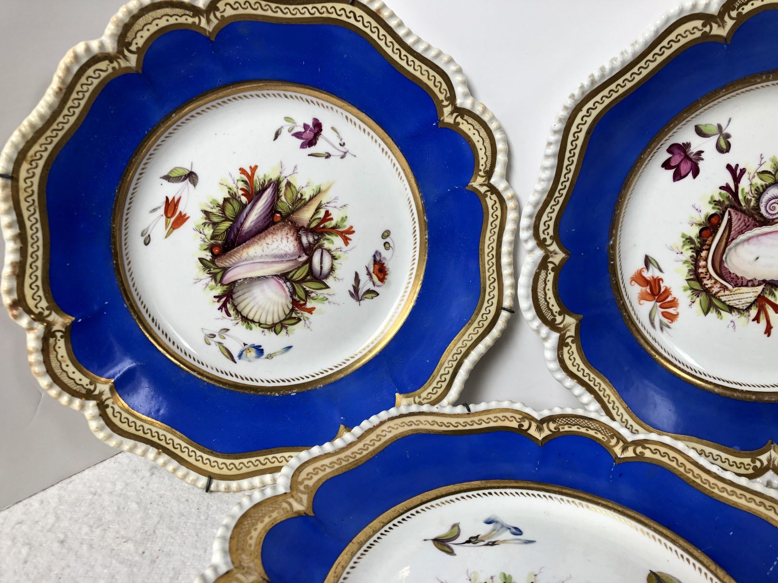 A Beautiful Set Of Five Cabinet Plates Hand Painted With Shells. Extremely Rare photo Home Decor