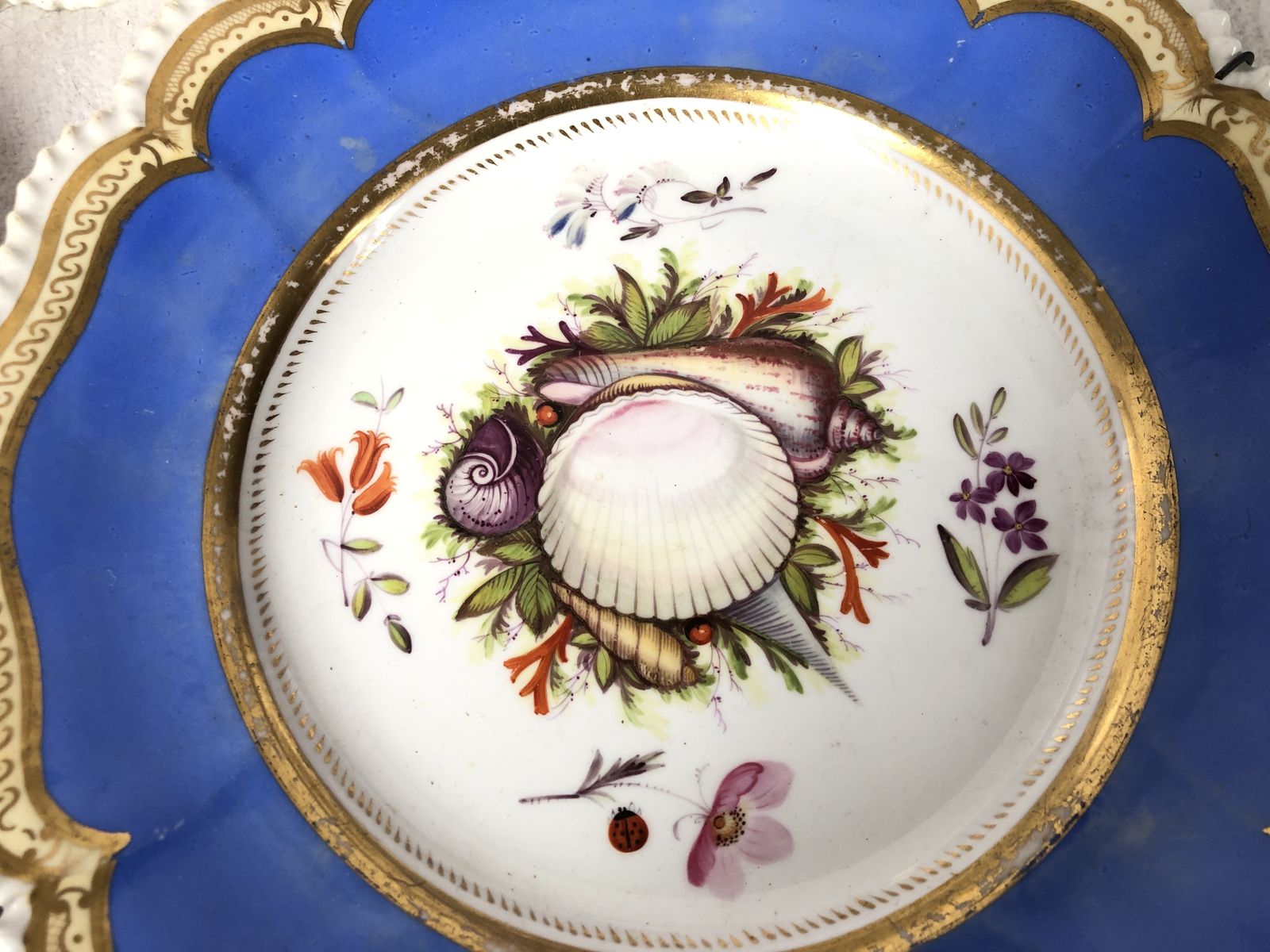 A Beautiful Set Of Five Cabinet Plates Hand Painted With Shells. Extremely Rare photo vintage