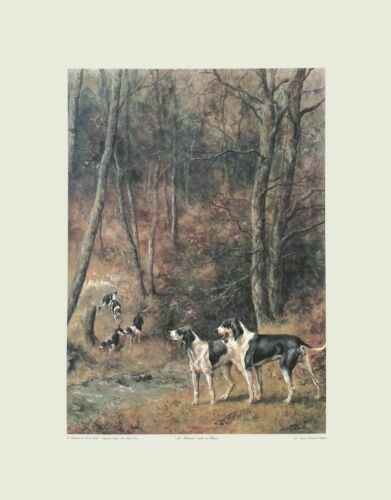 Hunting With Hounds   Screenprint By Emmanuel Frachon   French Dogs