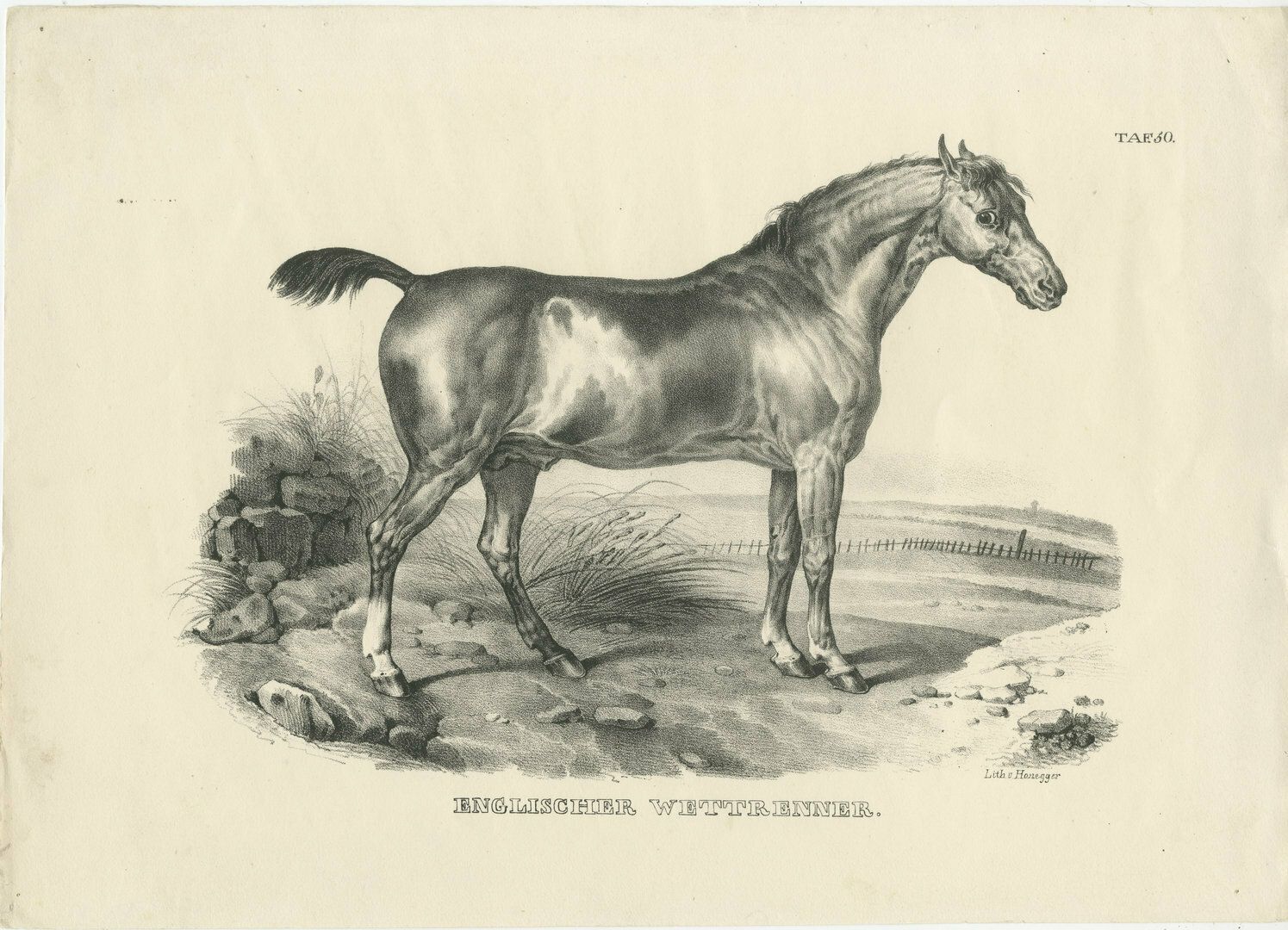 Set Of 2 Original Antique Prints Of English Horses photo furniture