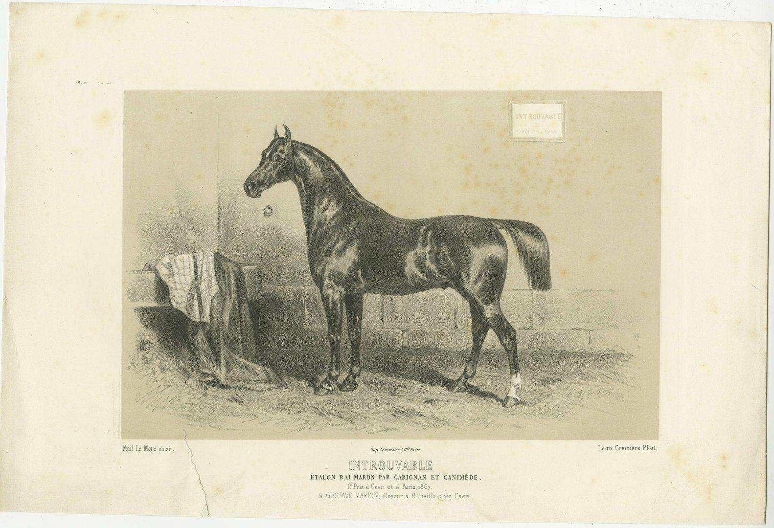 Antique Lithograph Of The Horse 'Introuvable'