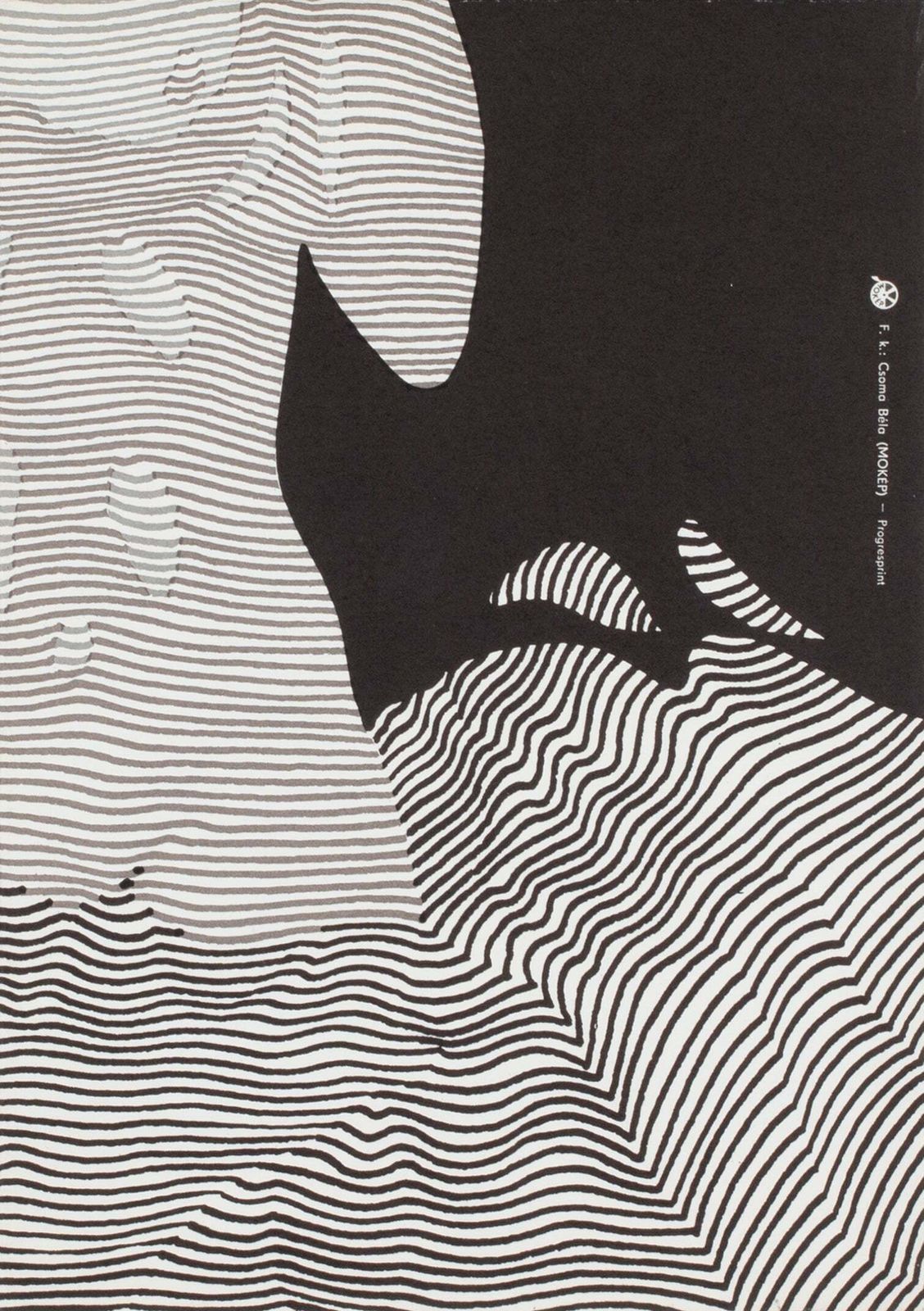 The Big Night Bathe 1981 Hungarian 1/2 Sheet Film Poster, Zoltan Kalmanchey photo vinterior
