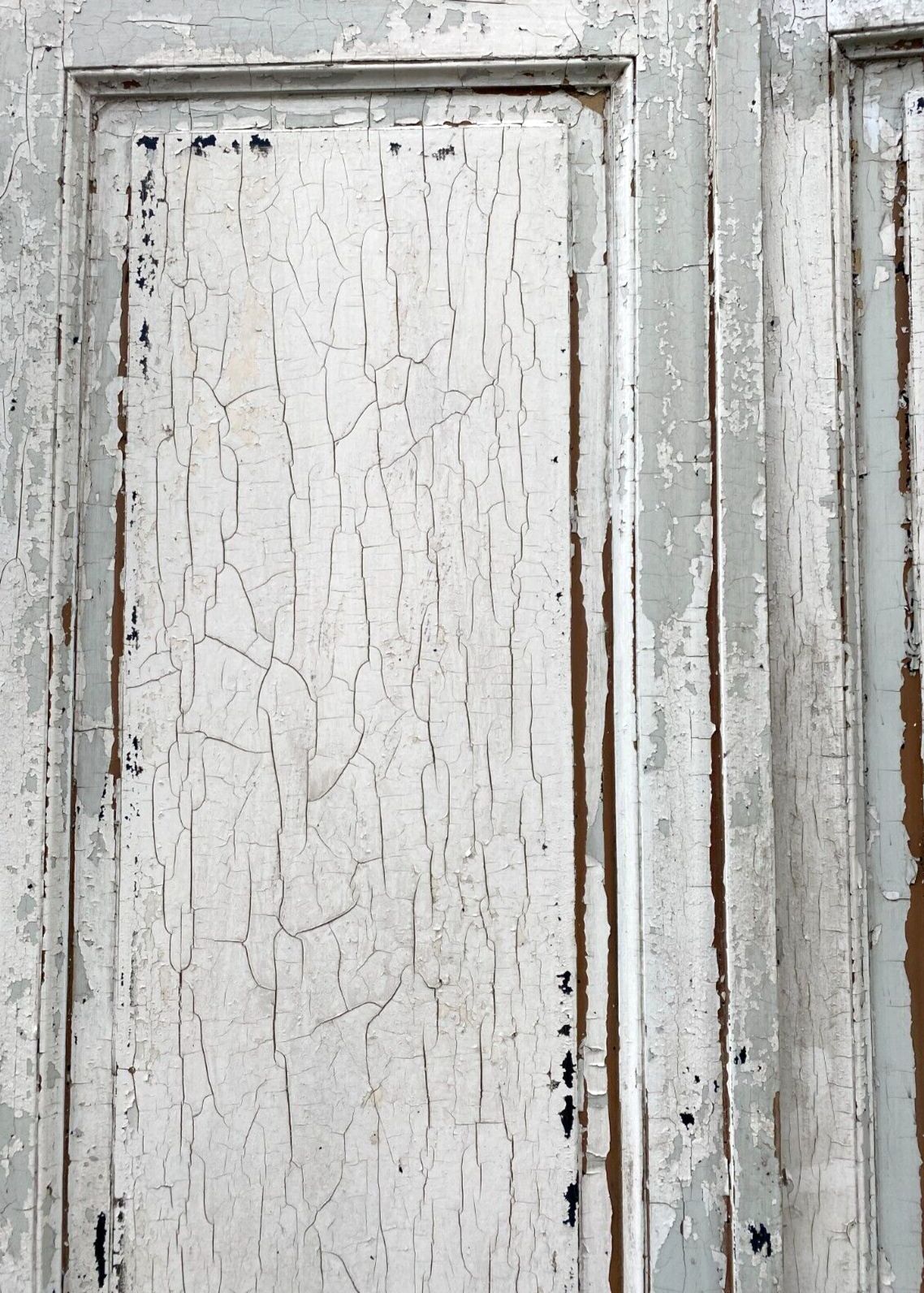 Double Closet Doors In Solid Fir. XX Century. photo furniture