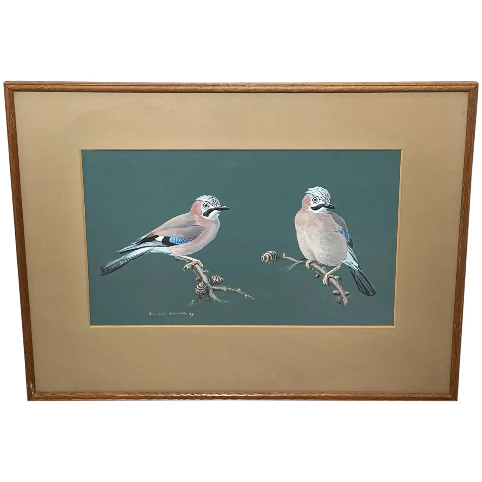 Ornithological Painting Jays Perched Bird Study Signed Donald Watson 1918 2005