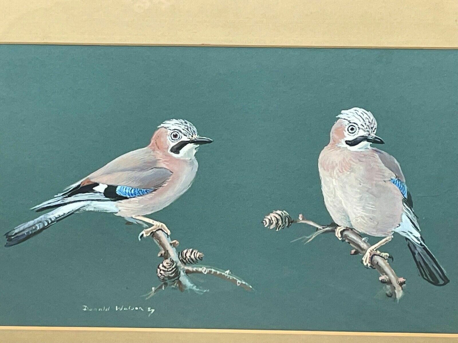 Ornithological Painting Jays Perched Bird Study Signed Donald Watson 1918 2005 photo furniture