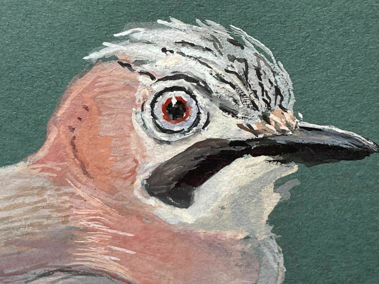 Ornithological Painting Jays Perched Bird Study Signed Donald Watson 1918 2005 photo vinterior