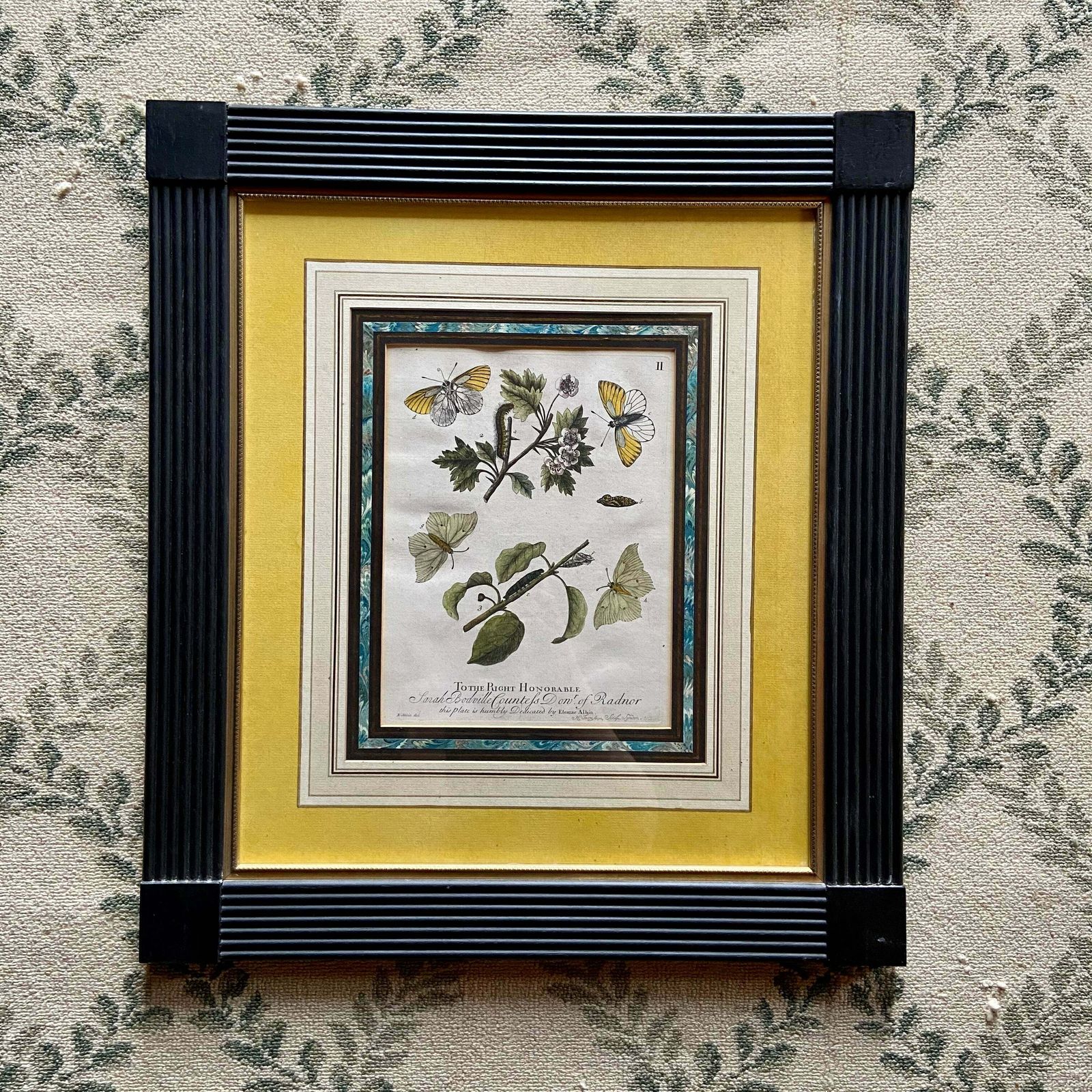 Set Of 4 Framed Hand Coloured 19th Century Prints