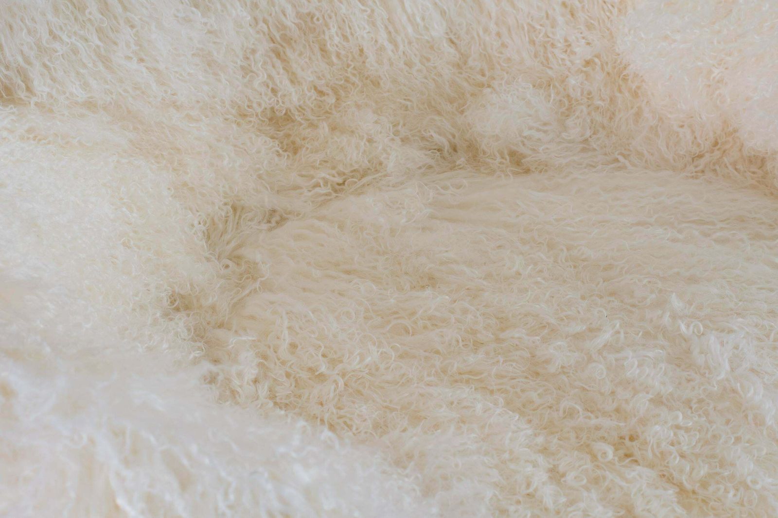 photo vinterior Franco Albini Pl19 Or Tre Pezzi Armchair In White Mongolian Wool Poggi, Italy