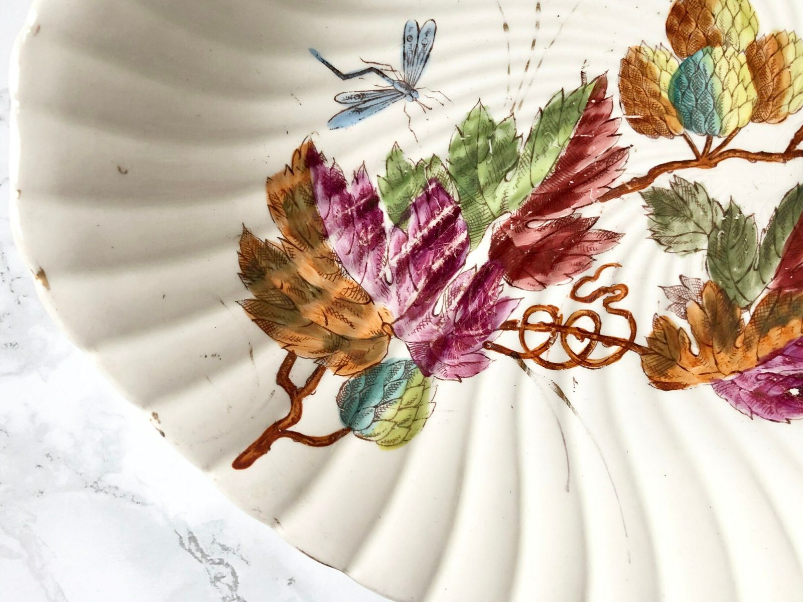 German Manufacture Royal Bonn   Franz Anton Mehlem   Antique China Serving Dish Decorated With Plants And Insects photo furniture