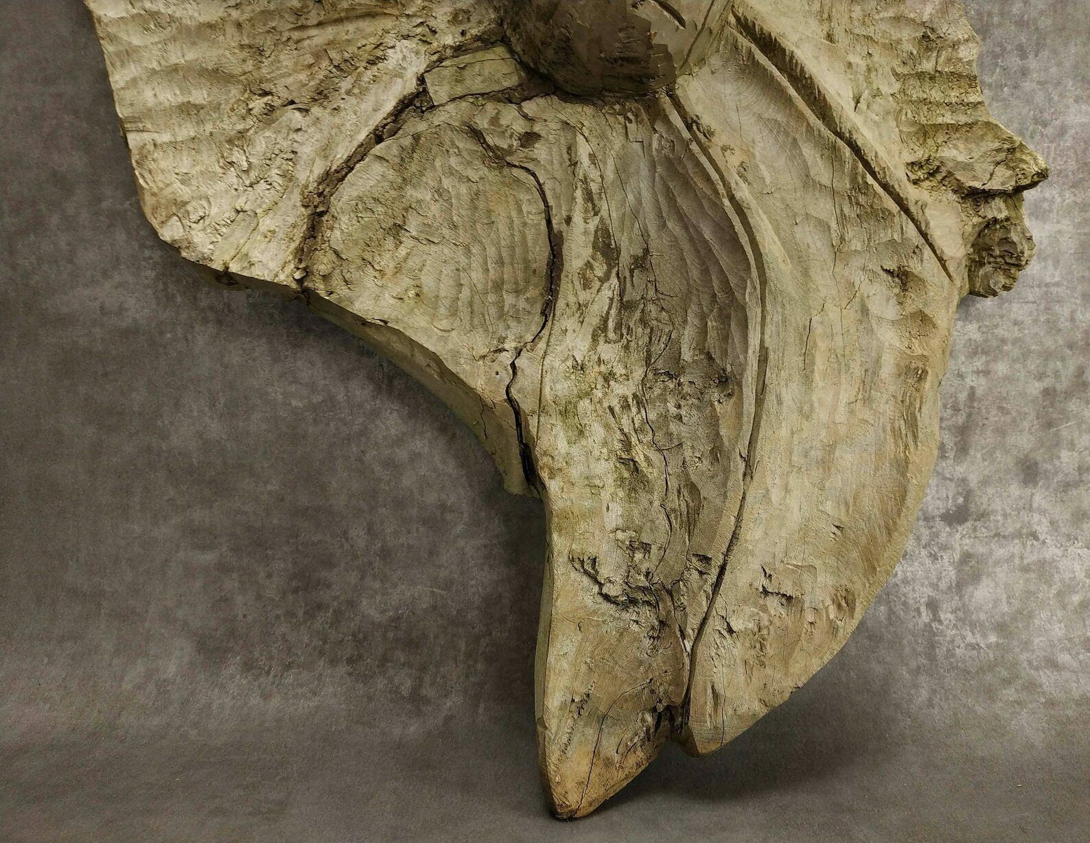 photo for sale Rustic French Tree Root Carving, Large Primitive Wall Hanging Wooden Carving With Persons Head,Folk Art Accent Wall Decoration,Root Wood Art