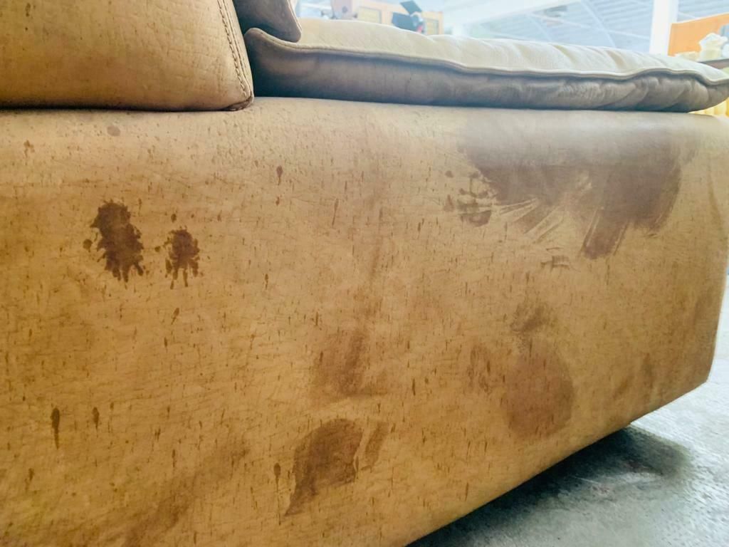 photo vinterior Bogo Sofa In Leather And Suede, By Carlo Bartoli For Rossi Di Albizzate, Set Of 5