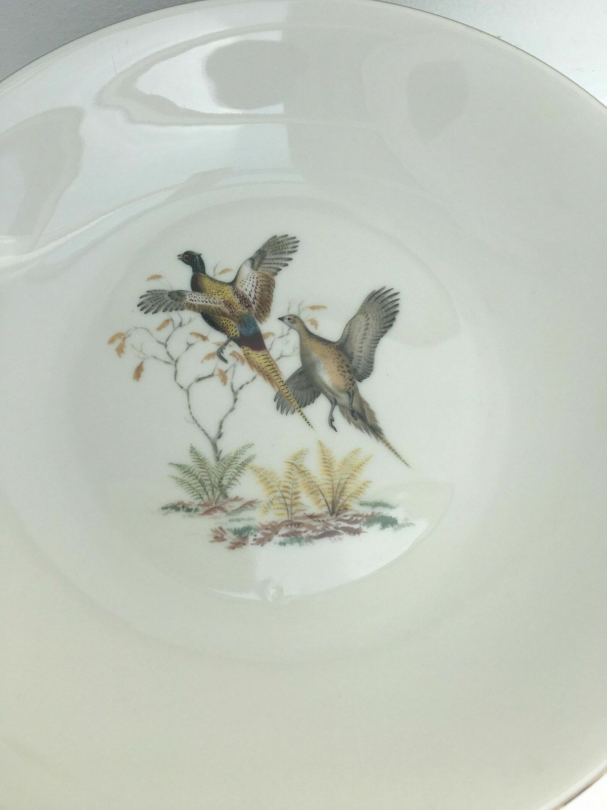 6 Fazant Soep  Of Pastaborden – Bareuther Waldsassen, Game Bird Wildlife, Cabin Decor, Natuur  En Bosdecorcollectie photo buy