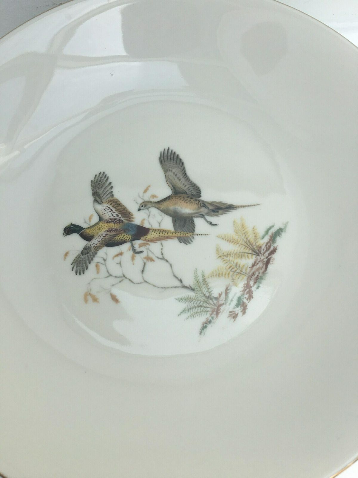 6 Fazant Soep  Of Pastaborden – Bareuther Waldsassen, Game Bird Wildlife, Cabin Decor, Natuur  En Bosdecorcollectie photo vintage