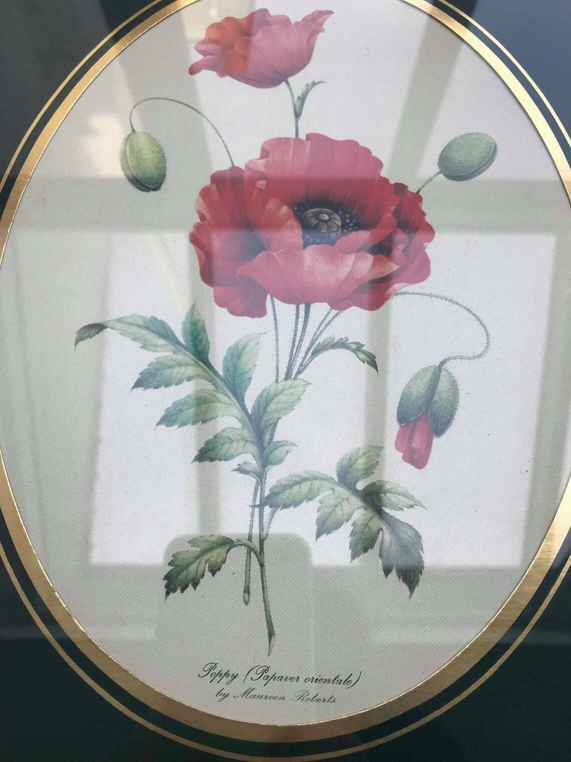 Botanical Art Wall Framed Print Vintage Set Of 2 Wall Hanging  Vintage Flower Print Botanica Print Wall Art Ready To Hang Framed Prints photo furniture