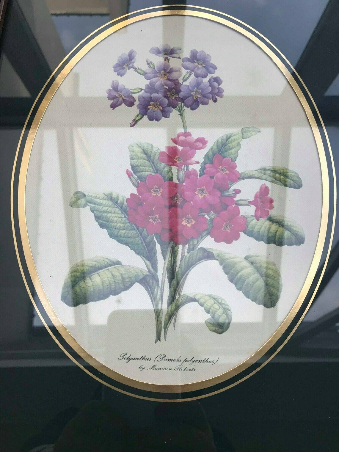 Botanische Vintage Wandprints – Set Van 2 – Ingelijste Bloemenprints, Klaar Om Op Te Hangen photo for sale